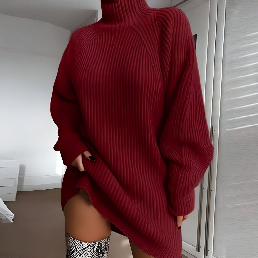Robe Pull Col Roulé Femme
