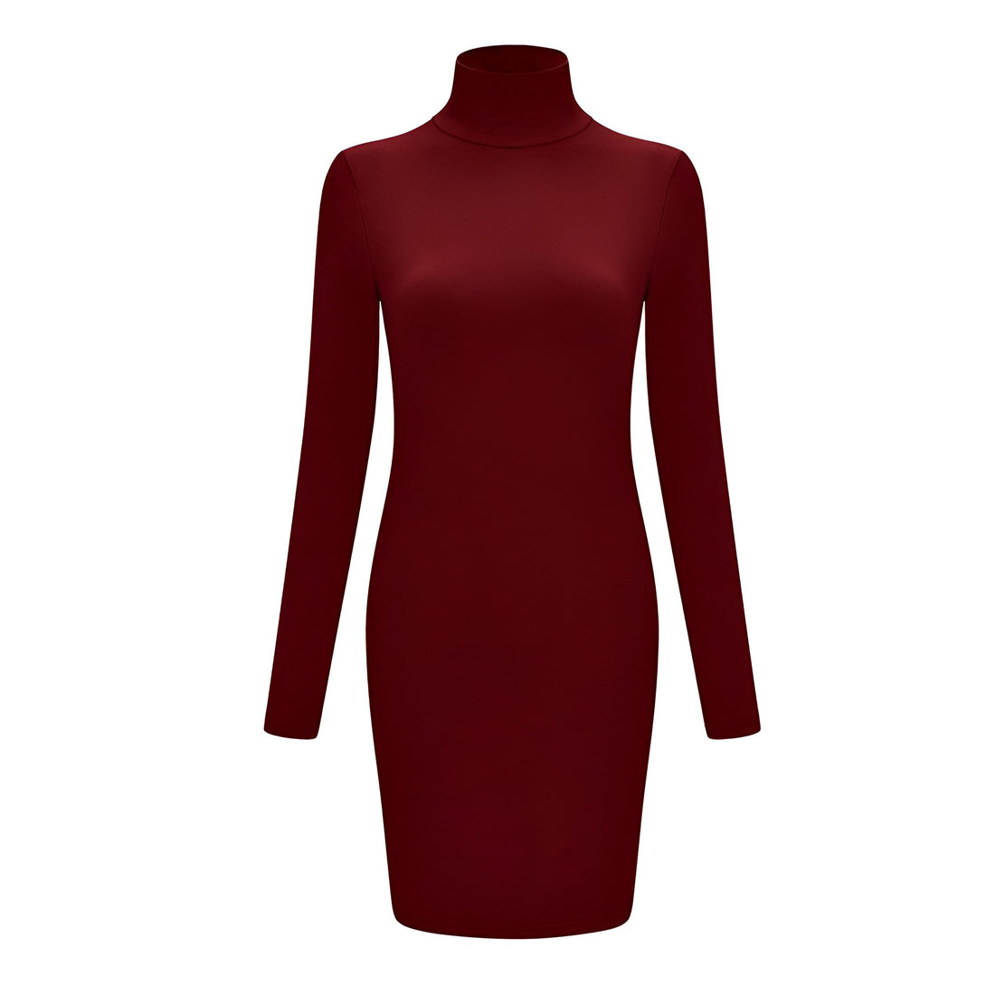 Robe Pull Col Roulé Femme

