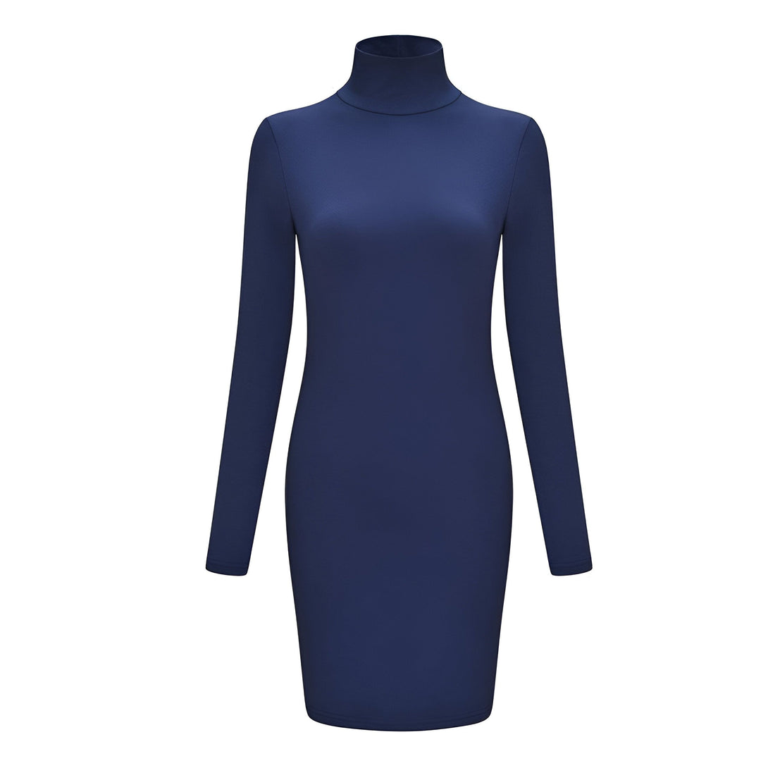 Robe Pull Col Roulé Femme
