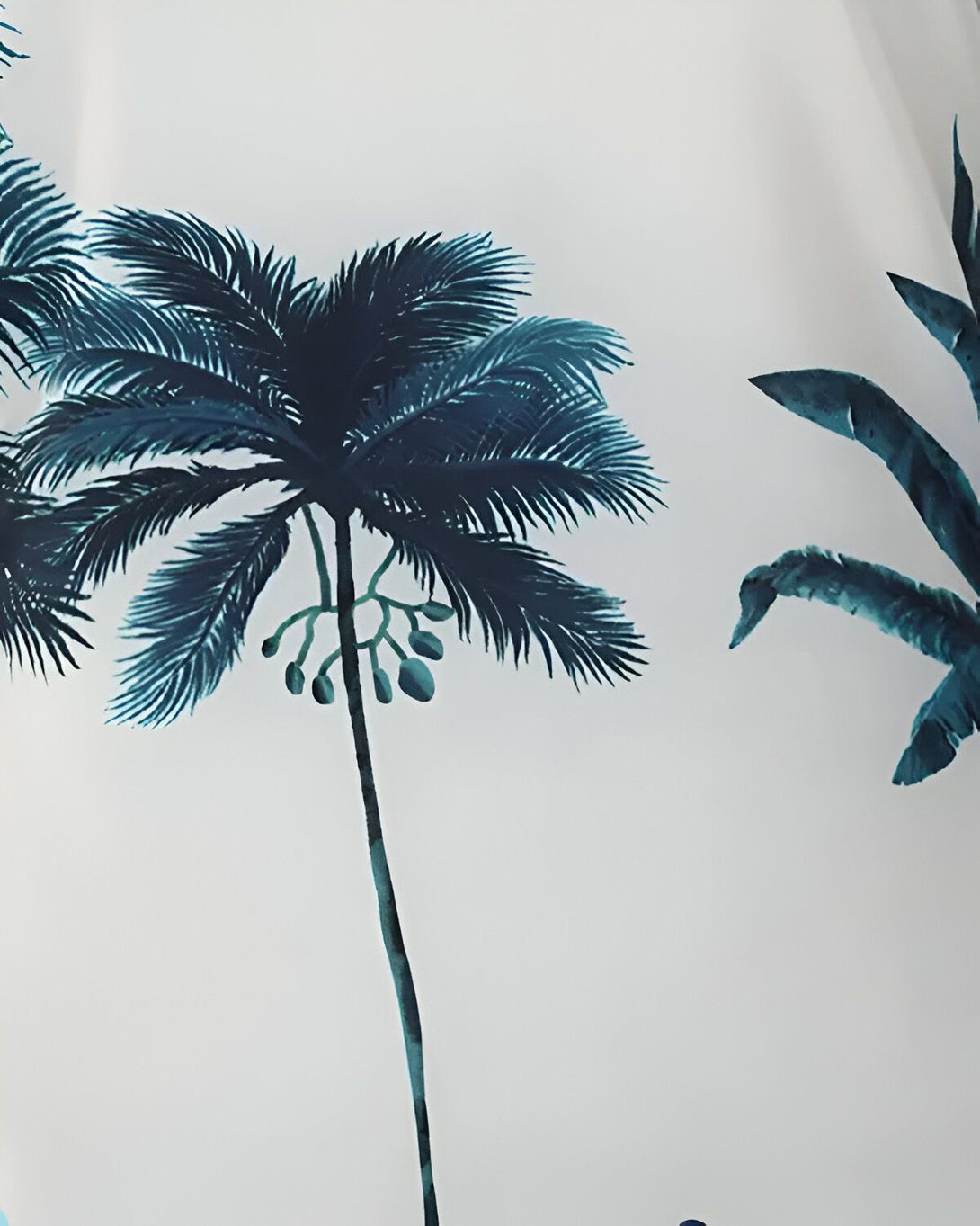 Une image en gros plan de feuilles de palmier tropicales bleues et vertes sur un fond blanc.